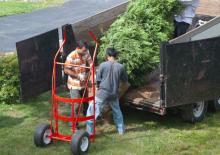 dos jardineros limpian un corral y ponen un árbol atrás de su camioneta
