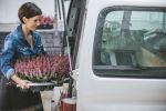 una dama sacando flores rosas en su camioneta blanca